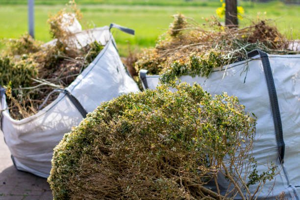 Professional Junk Removal in Belleair Beach, FL
